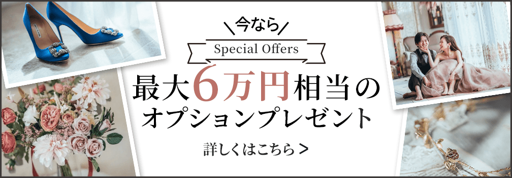 最大6万円相当の オプションプレゼント